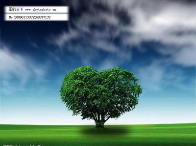 骑行无忧，爱心随行——自行车修理公益广告