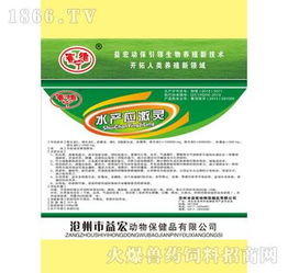 水产应激灵 优质厂家与代理批发指南