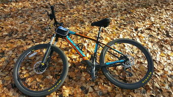 延庆自行车骑游租赁中心 北京乐骑，绿色出行的理想伙伴