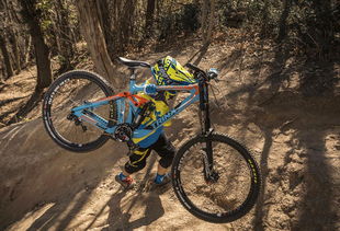 GBI全球自行车产业链信息网入驻厂商推介 第1期 共筑未来，共‘骑’新程